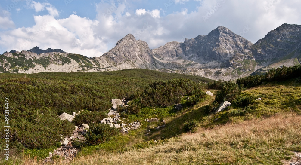 Dolina Zielona Gasienicowa valley with peaks above in Tatry mountains