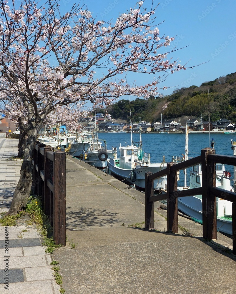 萩の桜