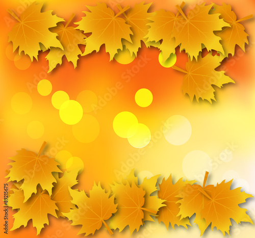 Autumn leaves background with leaves on top and bottom