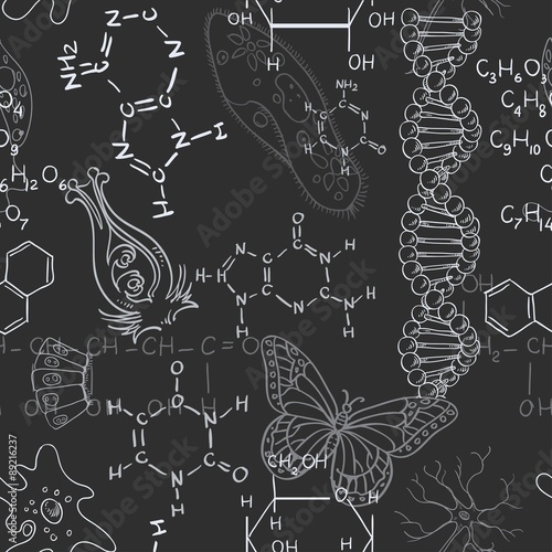 Seamless pattern of the formulas on the biology of doodles isola