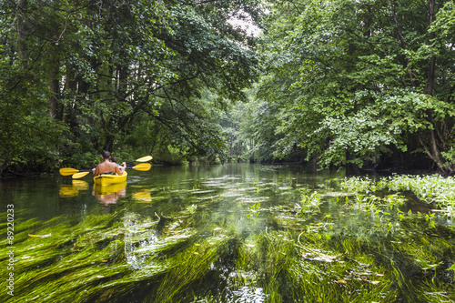 Fototapeta Naklejka Na Ścianę i Meble -  Kayaking on the Rospuda river, Poland