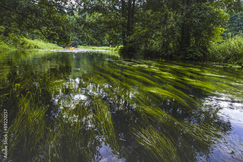Fototapeta Naklejka Na Ścianę i Meble -  Kayaking on the Rospuda river, Poland