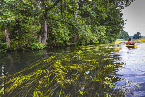 Fototapeta Naklejka Na Ścianę i Meble -  Kayaking on the Rospuda river, Poland
