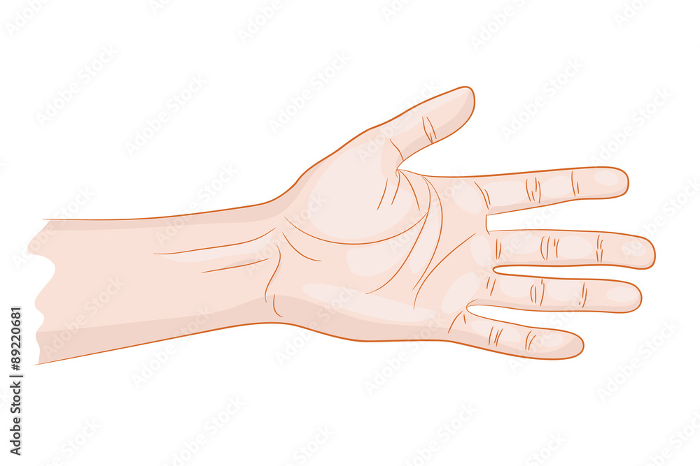 man hand isolated man hand isolated