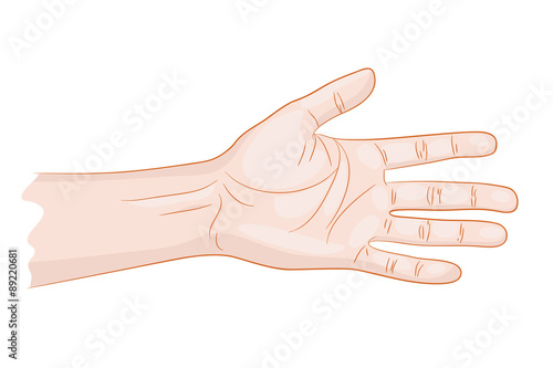 man hand isolated