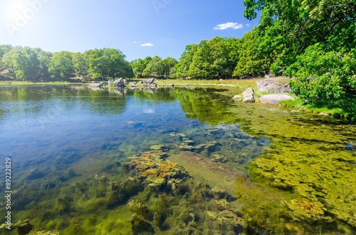 Swedish sea shore in the middle of summer