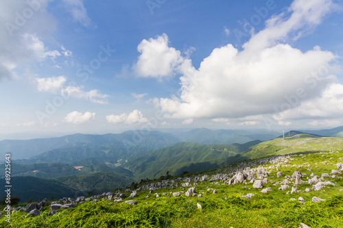愛媛県 四国カルスト 五段高原の風景