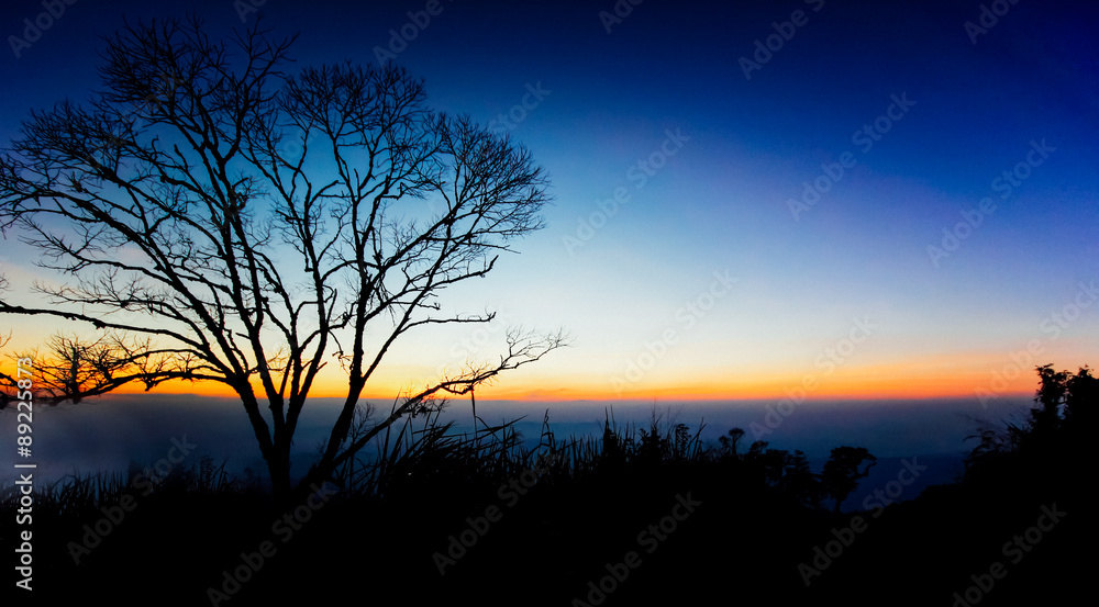 Sun set behind the silhouette tree in a rural of Thailand Sun set behind the silhouette tree in a rural of Thailand