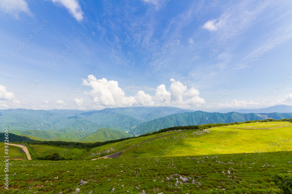Obraz premium 愛媛県 四国カルスト 五段高原の風景