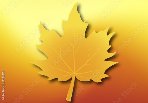 Yellow maple leaf on autumn background