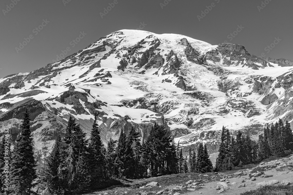 Obraz premium Mount Rainer, Oregon