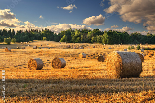 Haystacks on the field. Summer, rural landscape.