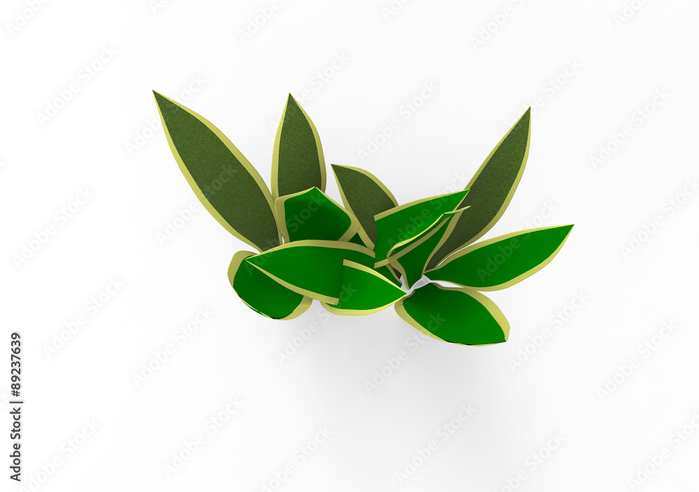 Fototapeta premium Houseplant - Variegated Snake Plant a potted plant on a white background