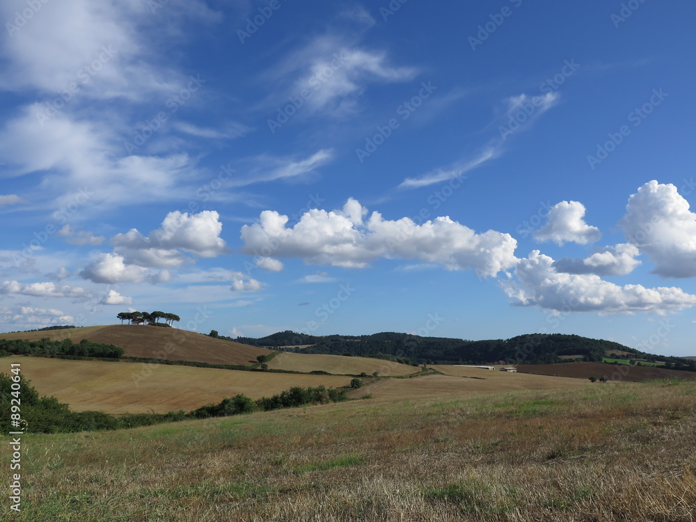 Fototapeta premium campagna, nuvole