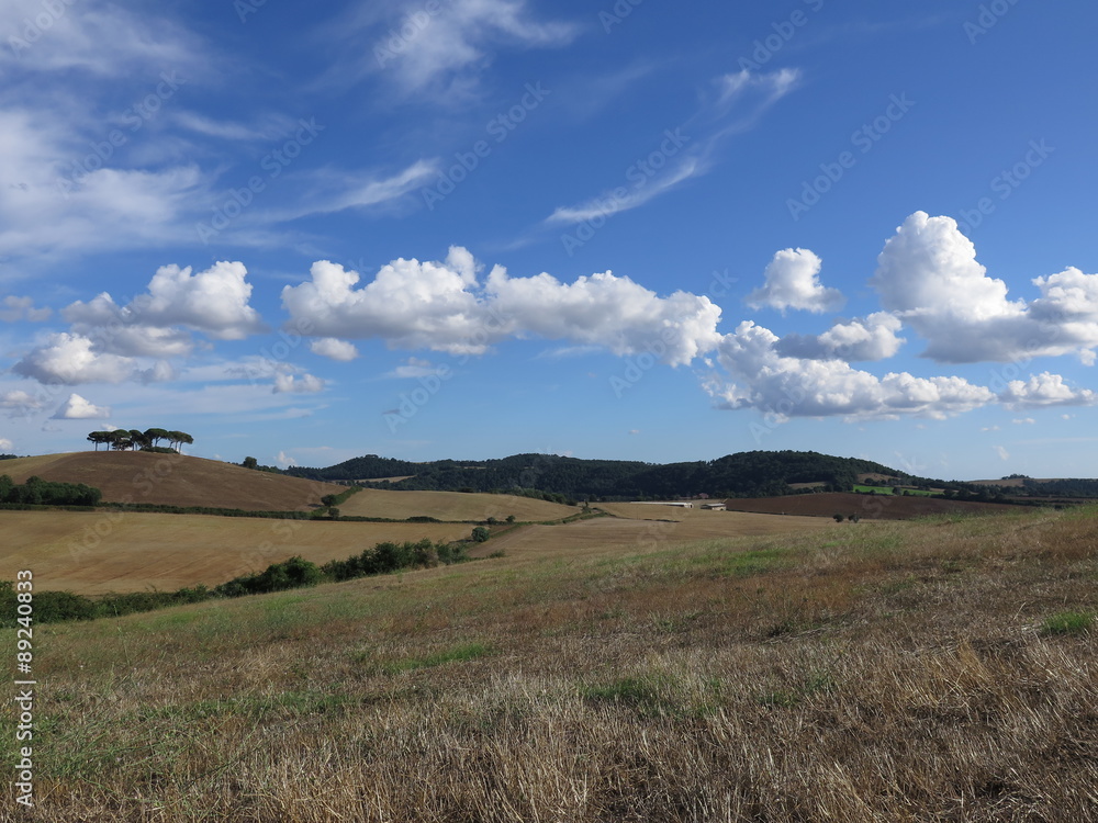 Fototapeta premium campagna, nuvole
