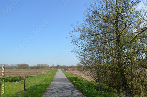 small path between meadow in flanders