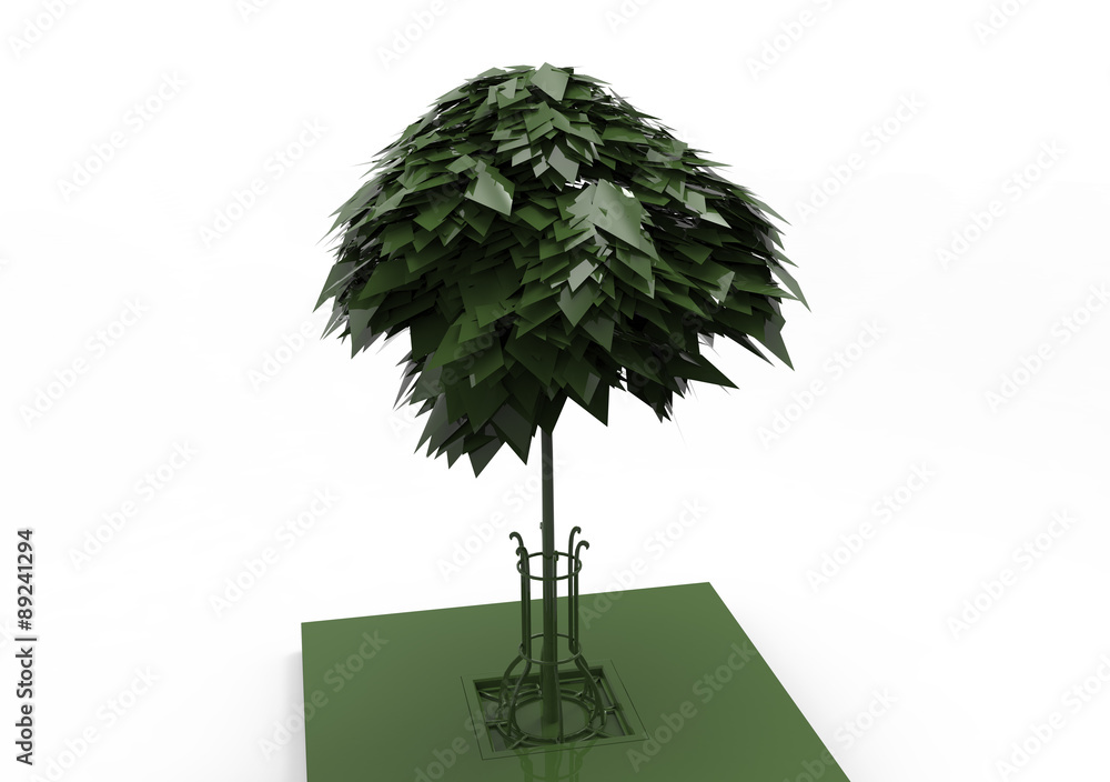 Fototapeta premium Trees isolated