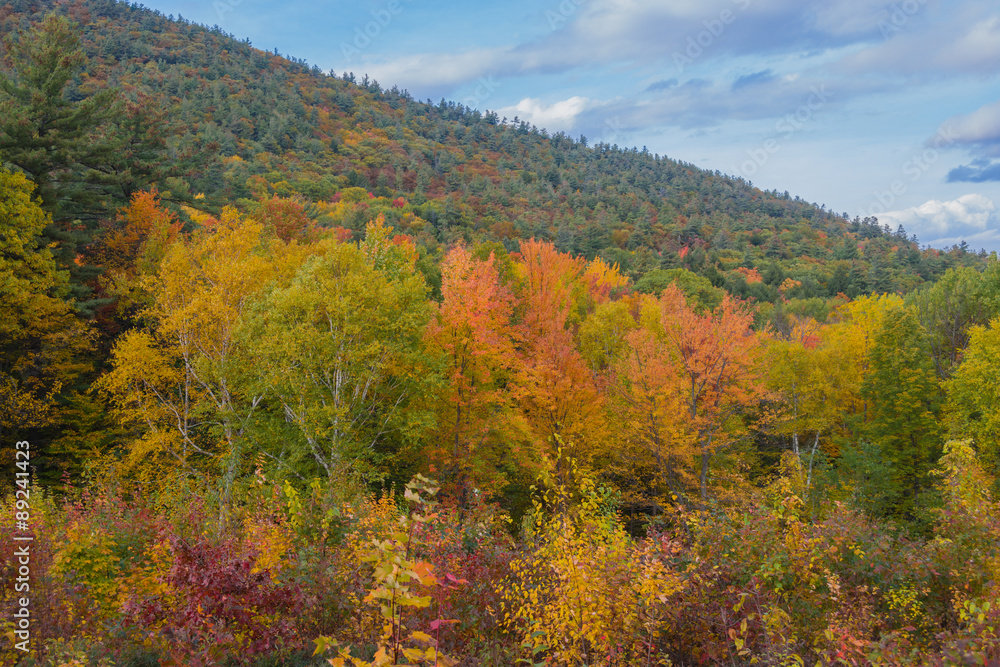 Spattering of fall colors on Prospect Mountain during the evening in mid-October. Spattering of fall colors on Prospect Mountain during the evening in mid-October.
