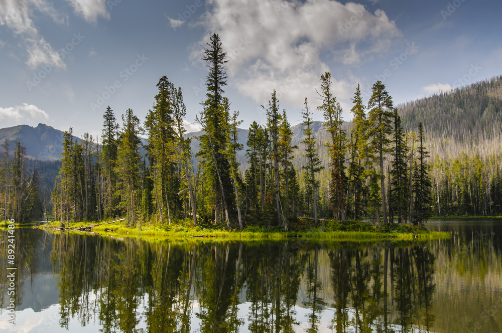 The scenery of Yellowstone National Park The scenery of Yellowstone National Park