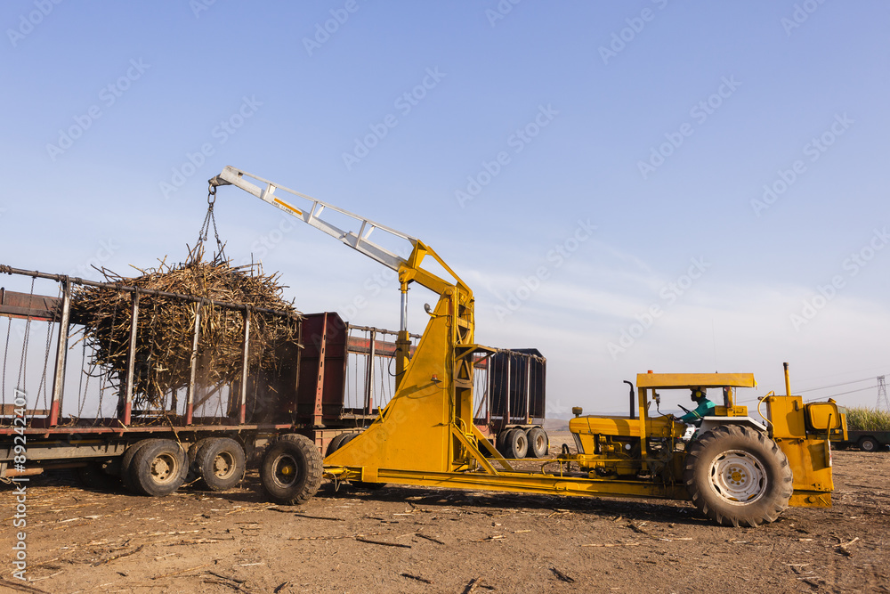 Farming harvest sugarcane crops tractor machines loading truck Farming harvest sugarcane crops tractor machines loading truck