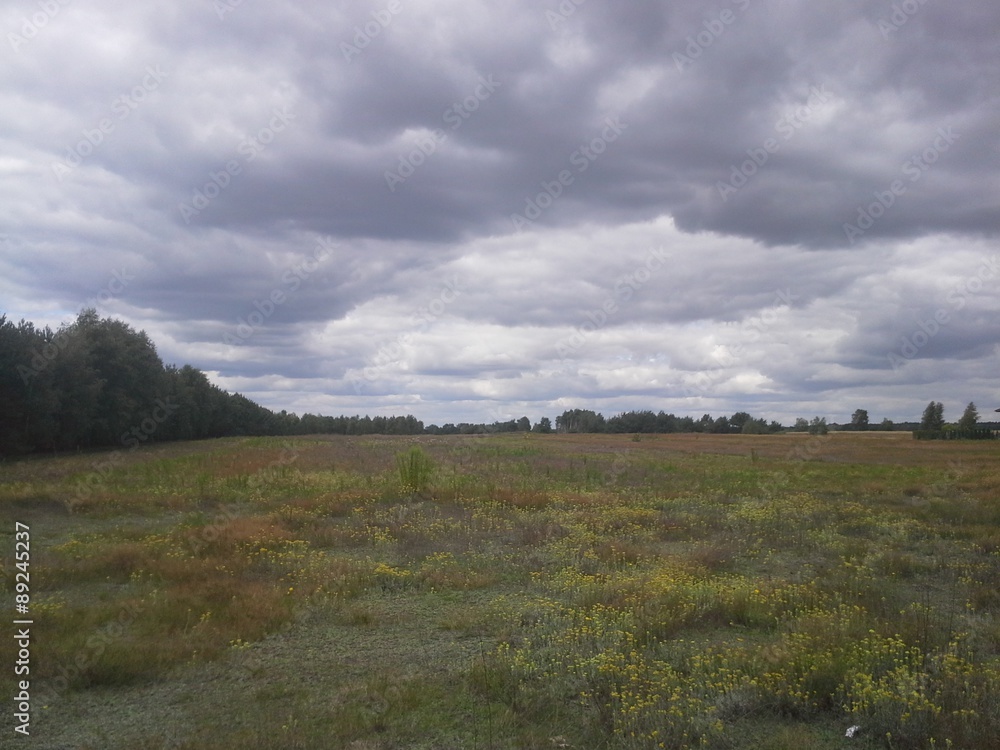 Fototapeta premium Chmury