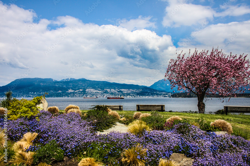 Naklejka premium Wiosna w porcie w Vancouver
