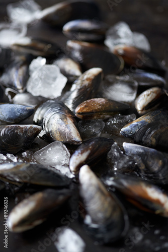 Fototapeta Naklejka Na Ścianę i Meble -  Clean debearded raw mussels