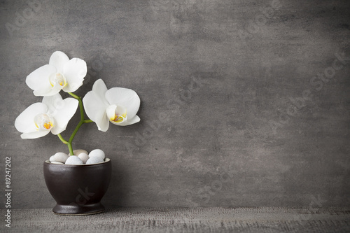 Fototapeta Naklejka Na Ścianę i Meble -  White orchid and spa stones on the grey background.