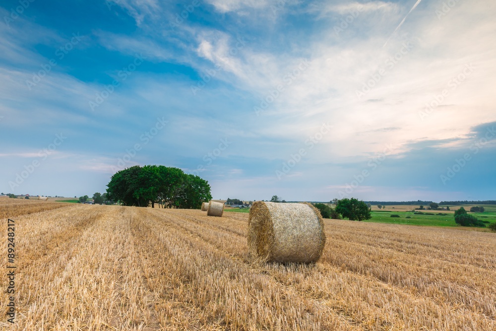 Stubble field with straw bales