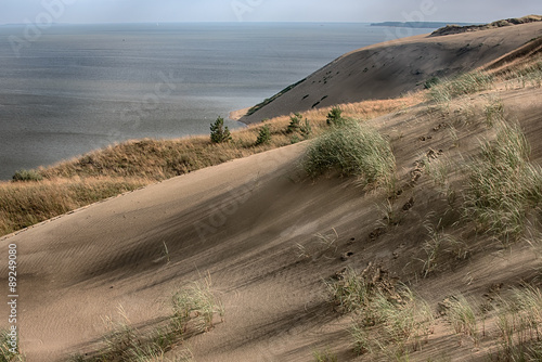 Dead Dunes in Neringa, Lithuania. UNESCO World Heritage Site  photo