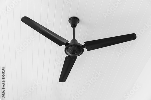 Ceiling Fan in black and white tone 