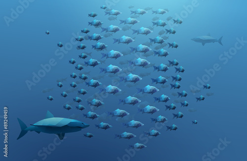 shoal of fish and sharks