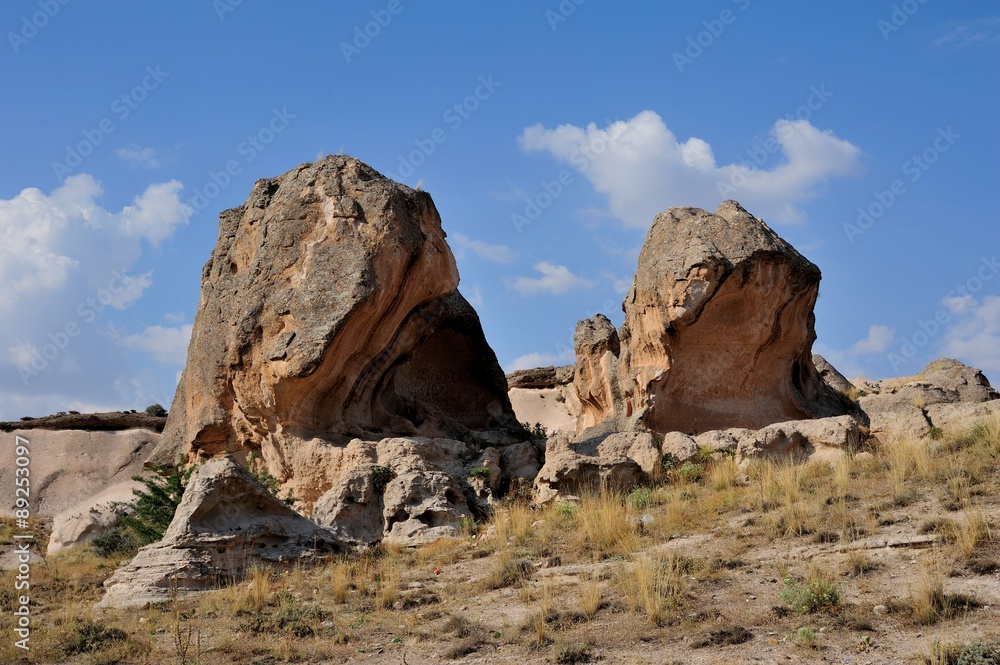 Fototapeta premium Mushroom Rocks Cappadocia Turkey