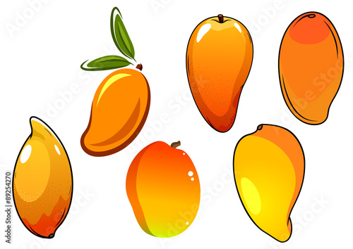 Orange fresh tropical mango fruits