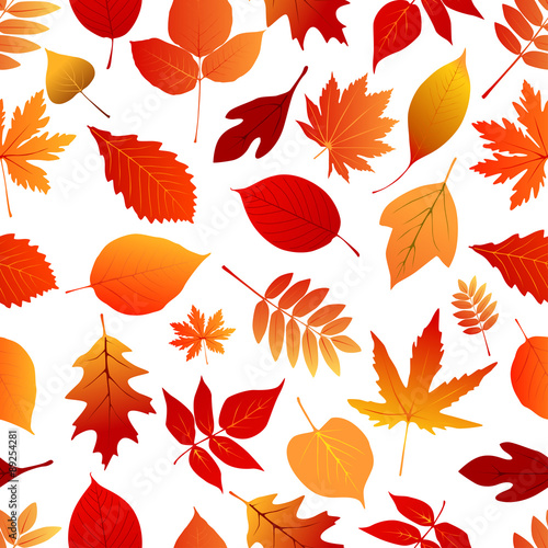 Autumn red and orange leaves pattern
