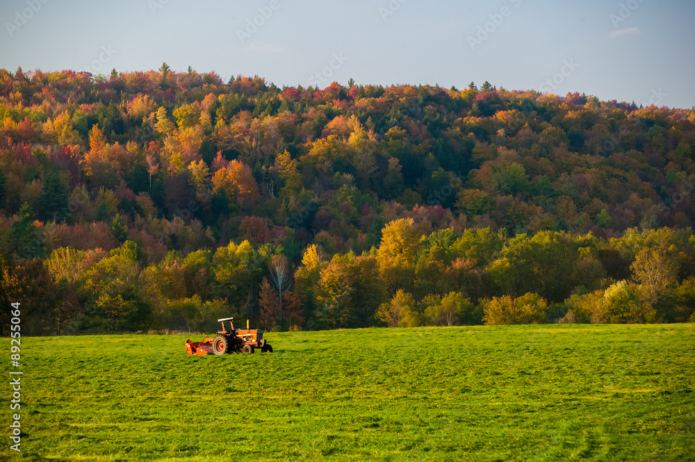 Naklejka premium Old farm tractor in a field.