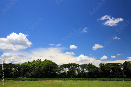 Fototapeta Naklejka Na Ścianę i Meble -  Glass field with blue sky and cloud