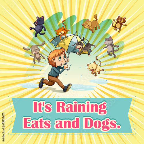 Raining cats and dogs