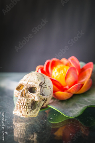 Skull and lilies