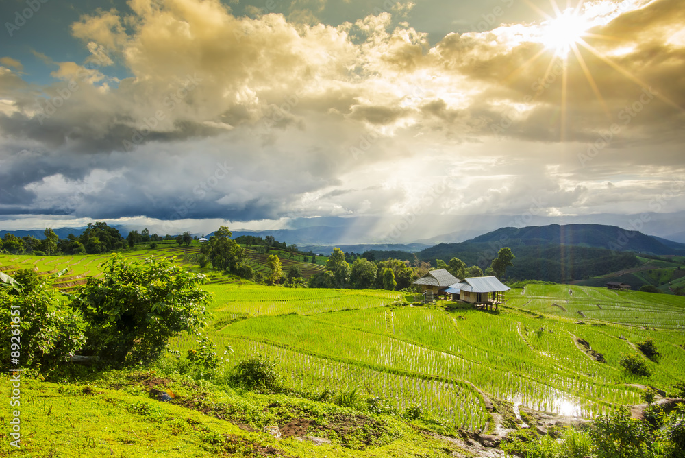 Terraced rice field with sun rays and dramatic sky in Pa Pong Pieng. Chiang Mai ,Thailand.
