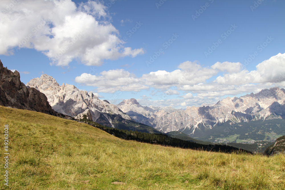 Almwiese mit Blick auf Berggipfel Almwiese mit Blick auf Berggipfel