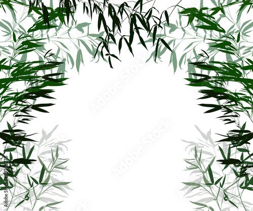 half frame from green lush bamboo leaves