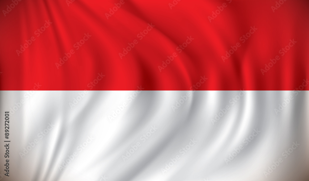 Obraz premium Flag of Monaco