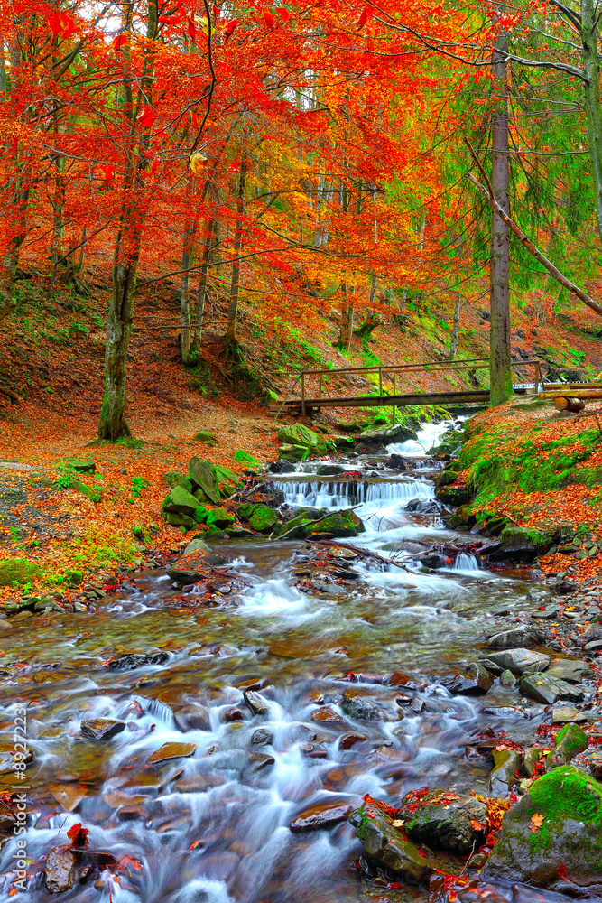 rapid mountain river in autumn