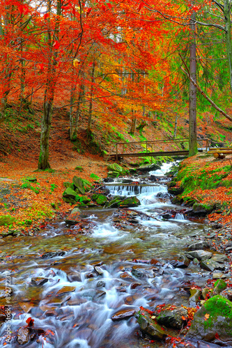 rapid mountain river in autumn