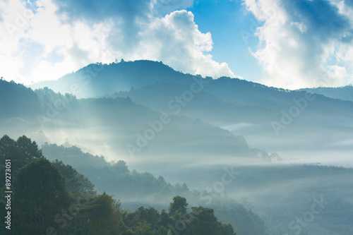 Colourful forest landscape in Doi Ang khang, Chiang Mai Province ,Thailand. photo