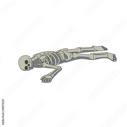 Laying skeleton