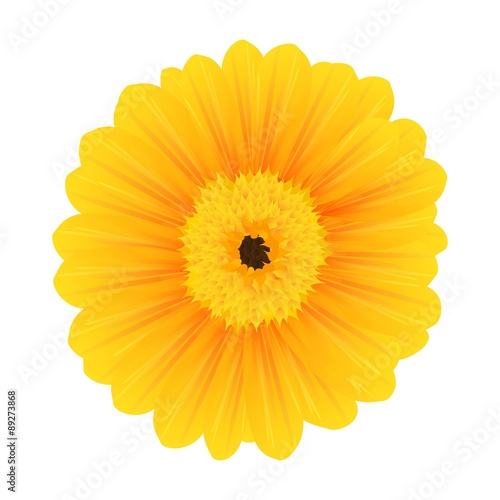 Vector Illustration of a Beautiful Yellow Flower