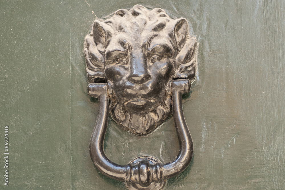 particularly embossed lion-shaped metal and an old door