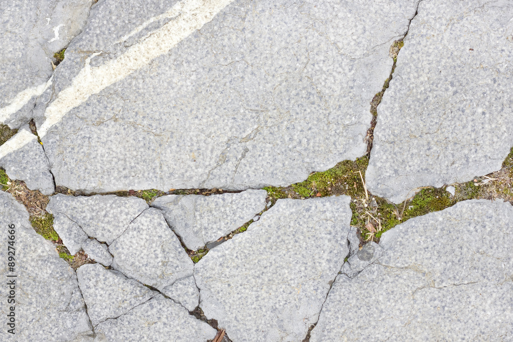 Obraz premium Cracks with vegetation background